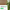 CALYX INTERIORS Cordless Bamboo Roman Shade Blind, Ceylon Chestnut
