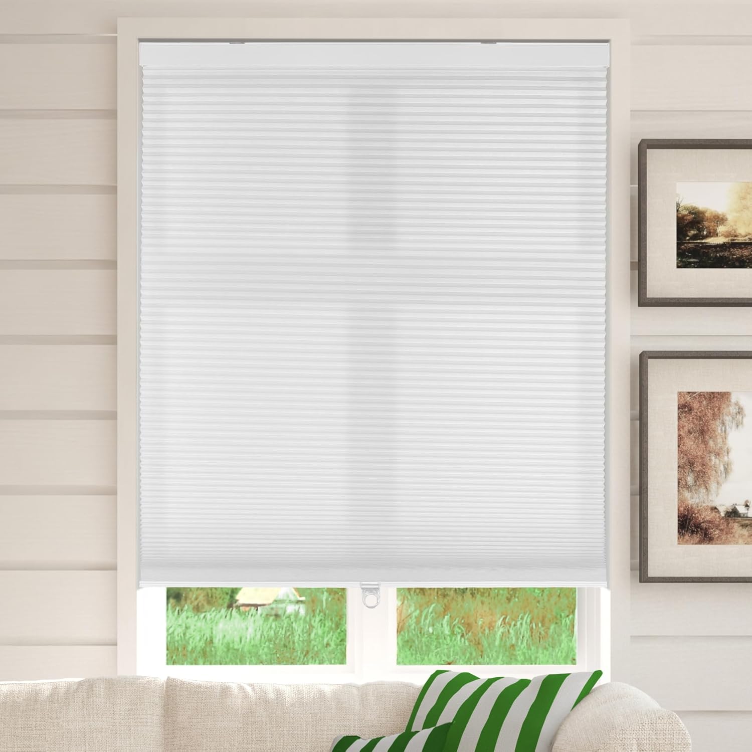 CALYX INTERIORS Cellular Honeycomb Shade, Light Filtering, Cordless, 3/8" Single Cell, White